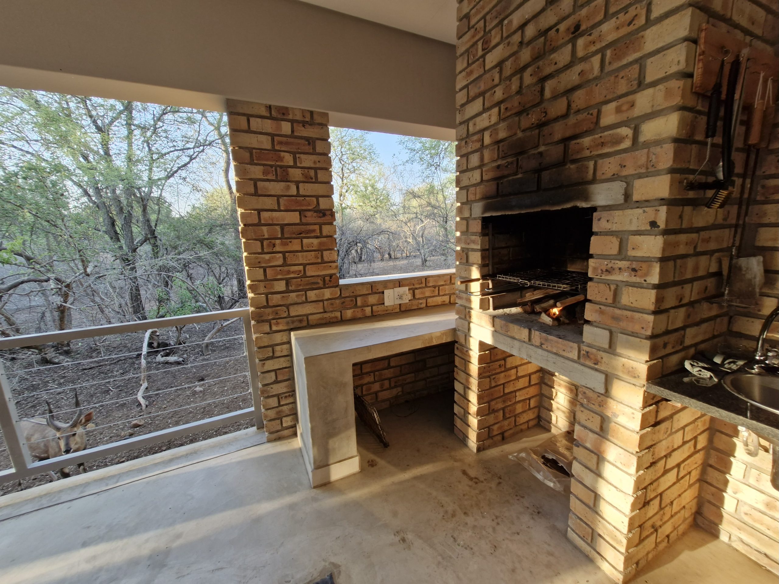 Braai 1